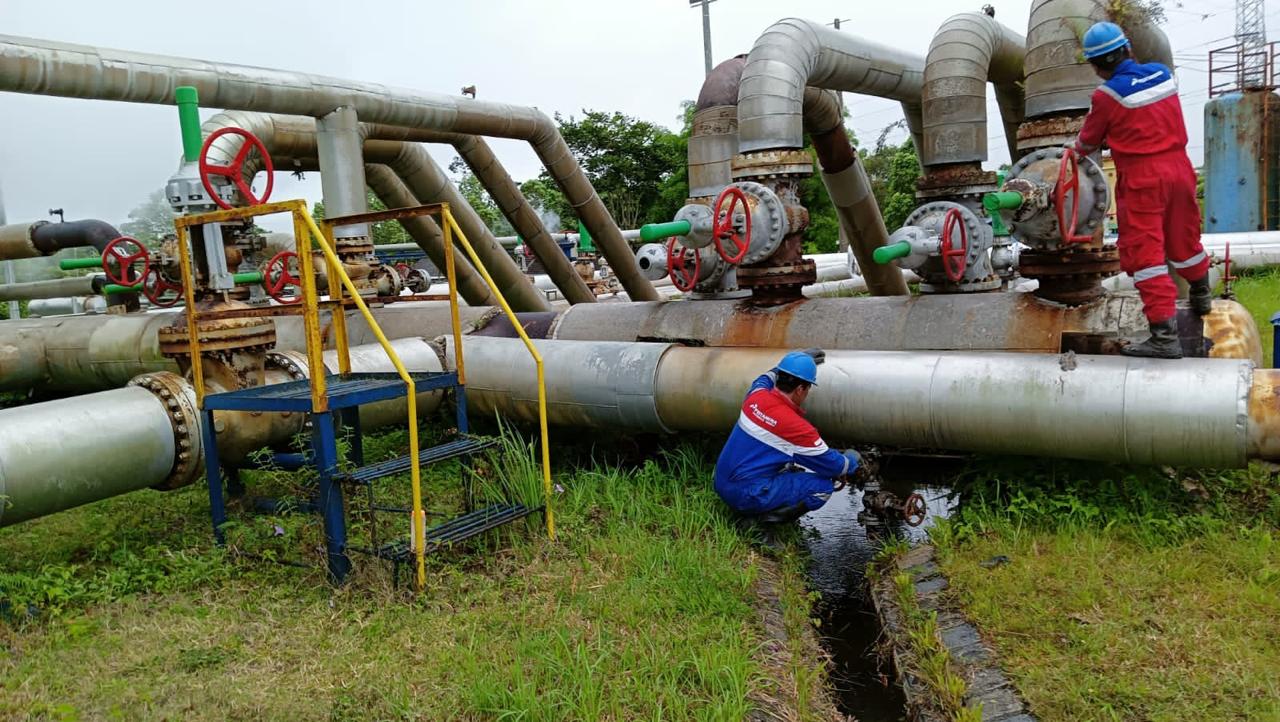 WhatsApp Image 2025-04-28 at 14.03.45 WhatsApp Image 2025-04-28 at 14.03.45